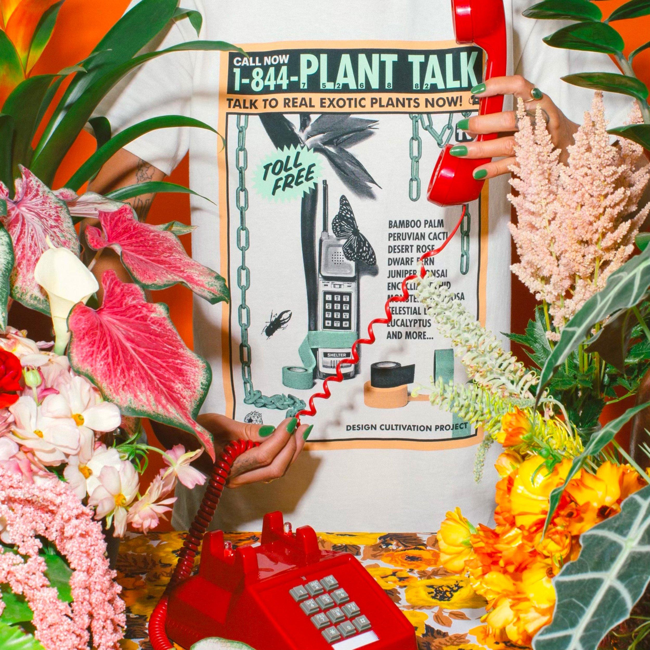 PLANT TALK - CLAY
