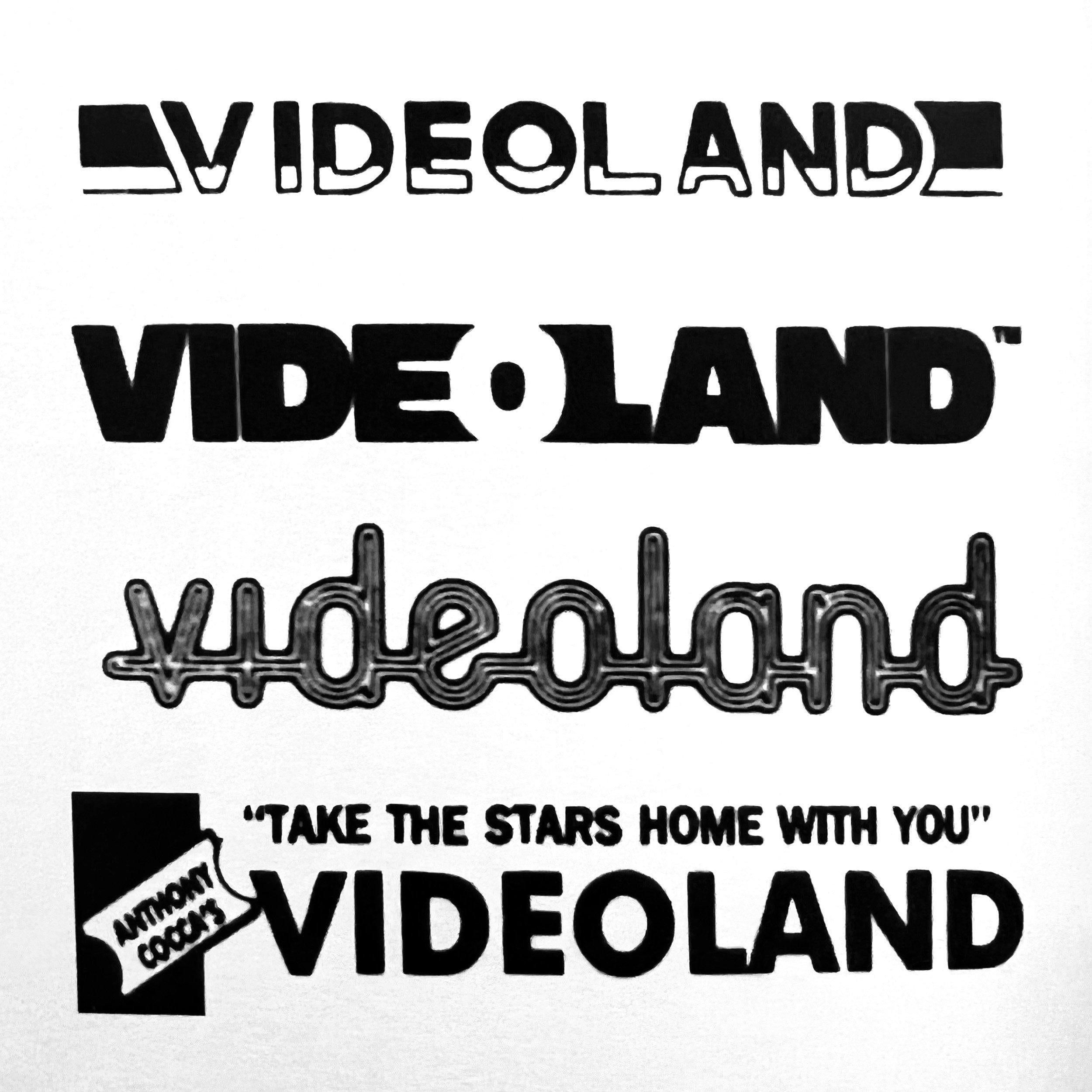 VIDEOLAND - Andy Sturdevant